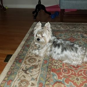 Meet your Posher, Rickie